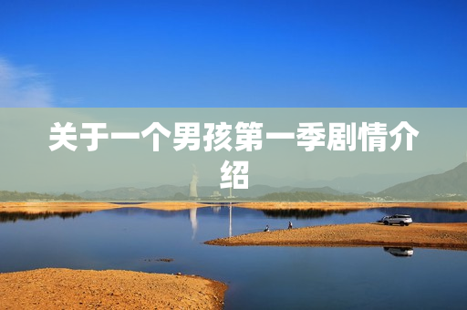 关于一个男孩第一季剧情介绍