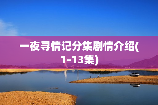 一夜寻情记分集剧情介绍(1-13集)