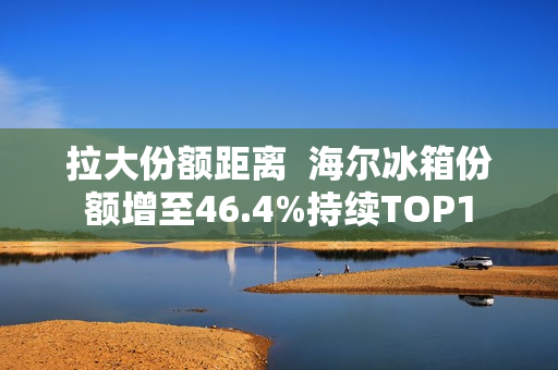 拉大份额距离  海尔冰箱份额增至46.4%持续TOP1