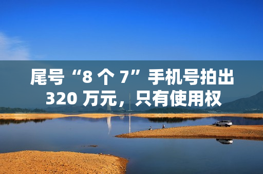 尾号“8 个 7”手机号拍出 320 万元，只有使用权