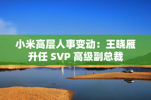 小米高层人事变动：王晓雁升任 SVP 高级副总裁