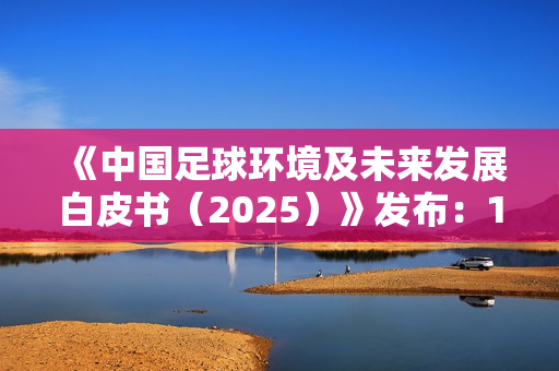 《中国足球环境及未来发展白皮书（2025）》发布：100吋大屏电视成球迷客厅新标配