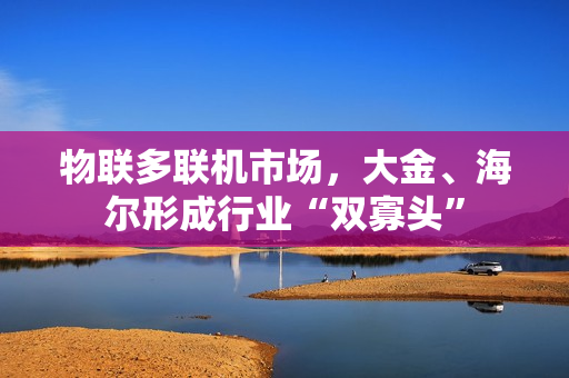 物联多联机市场，大金、海尔形成行业“双寡头”