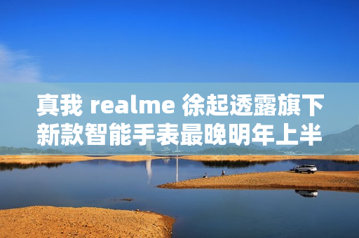 真我 realme 徐起透露旗下新款智能手表最晚明年上半年发布 真我 realme 徐起透露旗下新款智能手表最晚明年上半年发布