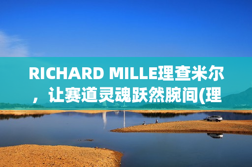 RICHARD MILLE理查米尔，让赛道灵魂跃然腕间(理查029)