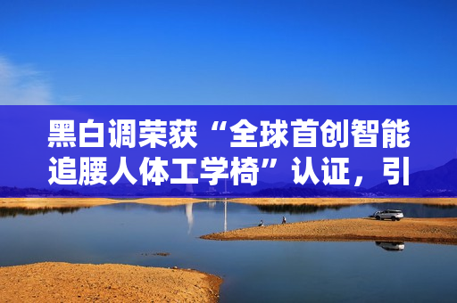 黑白调荣获“全球首创智能追腰人体工学椅”认证，引领智能健康办公新时代