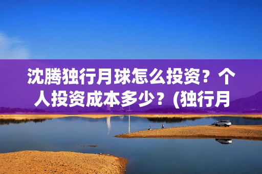 沈腾独行月球怎么投资？个人投资成本多少？(独行月球结局什么意思)