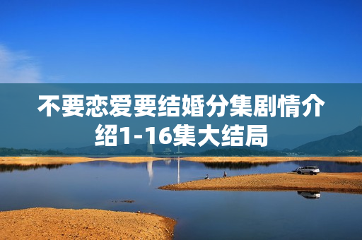 不要恋爱要结婚分集剧情介绍1-16集大结局