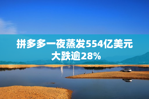 拼多多一夜蒸发554亿美元 大跌逾28%