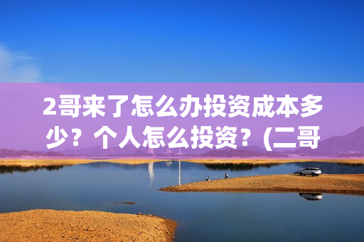 2哥来了怎么办投资成本多少？个人怎么投资？(二哥来了怎么办hd)