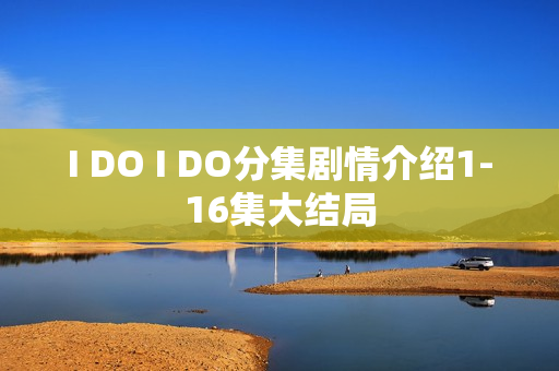 I DO I DO分集剧情介绍1-16集大结局