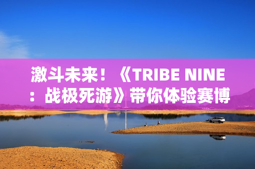 激斗未来!《TRIBE NINE:战极死游》带你体验赛博朋克反抗之旅 激斗未来!《TRIBE NINE:战极死游》带你体验赛博朋克反抗之旅