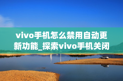 vivo手机怎么禁用自动更新功能_探索vivo手机关闭系统自动更新的多种方法