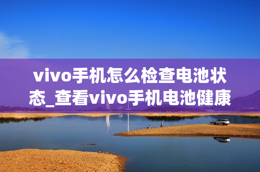vivo手机怎么检查电池状态_查看vivo手机电池健康度的方法