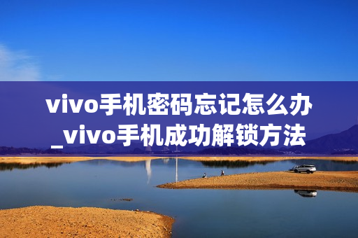vivo手机密码忘记怎么办_vivo手机成功解锁方法