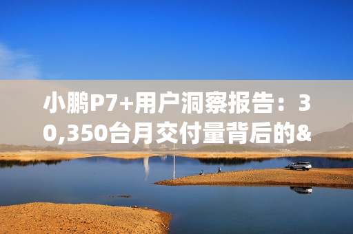 小鹏P7+用户洞察报告：30,350台月交付量背后的"油智同价"革命