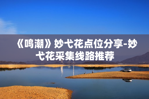 《鸣潮》妙弋花点位分享-妙弋花采集线路推荐