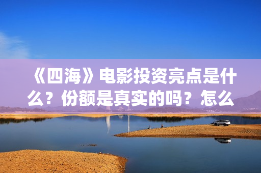 《四海》电影投资亮点是什么？份额是真实的吗？怎么投资有保障呢？(四海电影怎么样)