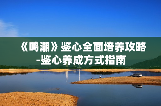 《鸣潮》鉴心全面培养攻略-鉴心养成方式指南