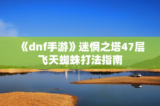 《dnf手游》迷惘之塔47层飞天蜘蛛打法指南