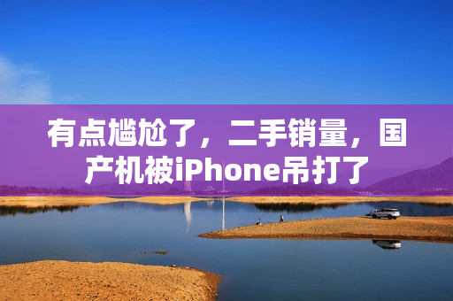 有点尴尬了，二手销量，国产机被iPhone吊打了