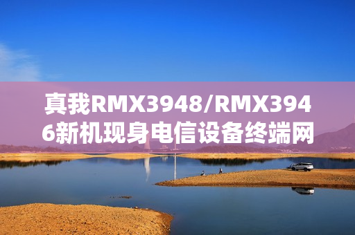 真我RMX3948/RMX3946新机现身电信设备终端网：4880mAh电池、屏幕分辨率720×1604