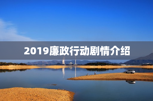 2019廉政行动剧情介绍
