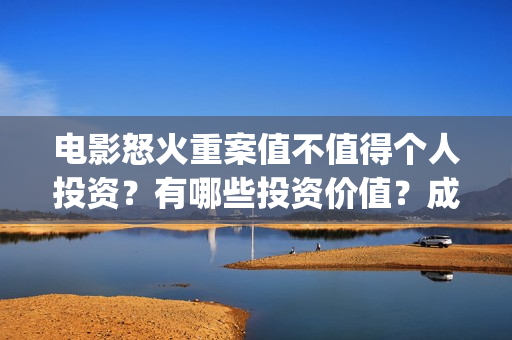 电影怒火重案值不值得个人投资？有哪些投资价值？成本多少？(电影 怒火重案)