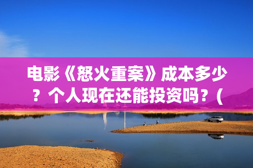 电影《怒火重案》成本多少？个人现在还能投资吗？(谢霆锋最新电影怒火重案)