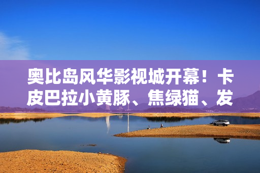 奥比岛风华影视城开幕！卡皮巴拉小黄豚、焦绿猫、发射小人、醒神仔春节好戏开演！