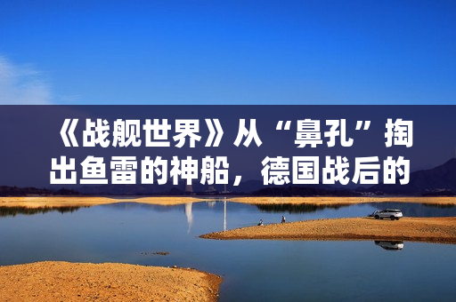 《战舰世界》从“鼻孔”掏出鱼雷的神船，德国战后的驱逐舰怎么有股谐味？