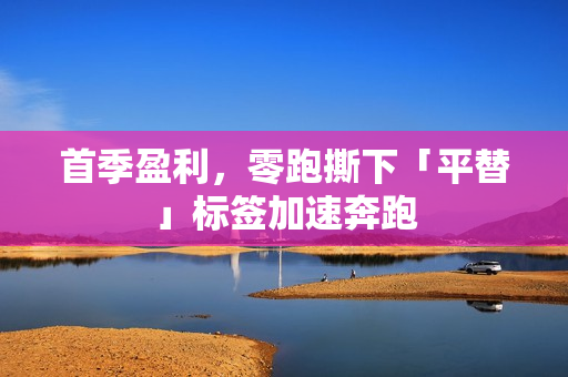 首季盈利，零跑撕下「平替」标签加速奔跑
