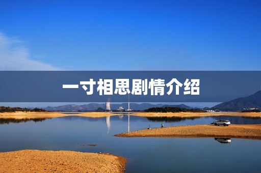 一寸相思剧情介绍