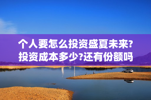 个人要怎么投资盛夏未来?投资成本多少?还有份额吗?(个人怎么投资白银)