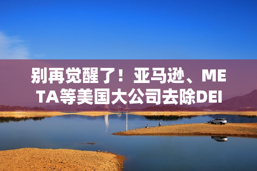 别再觉醒了！亚马逊、META等美国大公司去除DEI