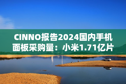 CINNO报告2024国内手机面板采购量：小米1.71亿片同比增21.7%、OPPO1.44亿片同比增3.5%