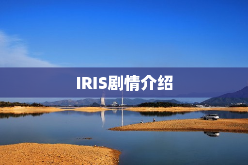 IRIS剧情介绍