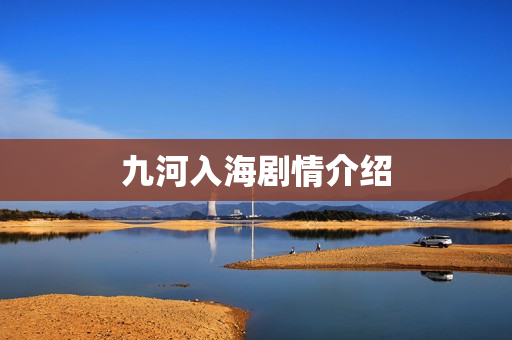 九河入海剧情介绍