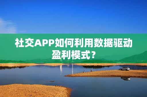 社交APP如何利用数据驱动盈利模式？