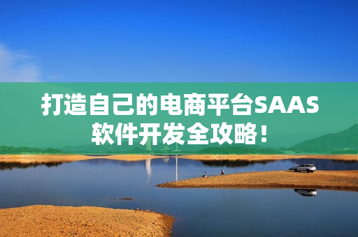 打造自己的电商平台SAAS软件开发全攻略！