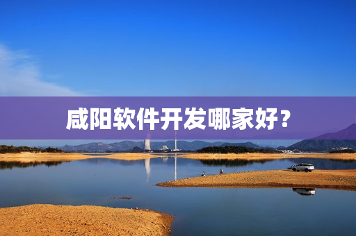咸阳软件开发哪家好? 咸阳软件开发哪家好?