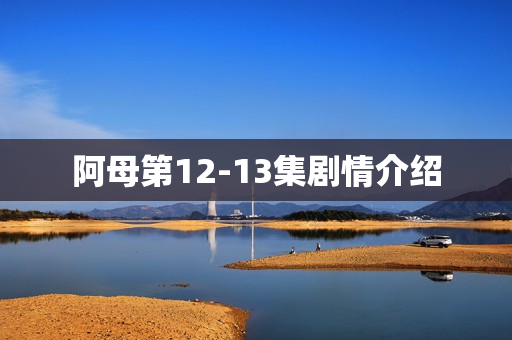 阿母第12-13集剧情介绍