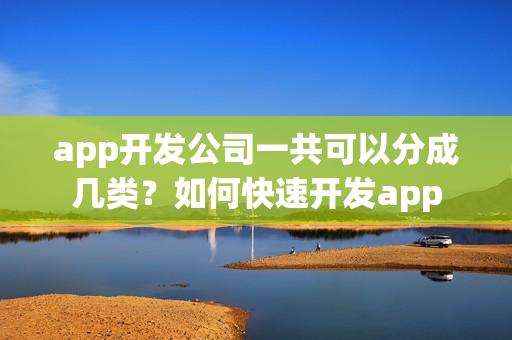 app开发公司一共可以分成几类？如何快速开发app