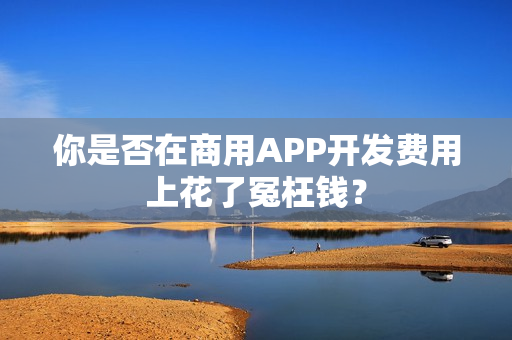 你是否在商用APP开发费用上花了冤枉钱? 你是否在商用APP开发费用上花了冤枉钱?
