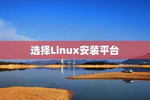 选择Linux安装平台