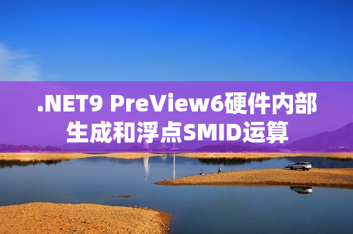 .NET9 PreView6硬件内部生成和浮点SMID运算