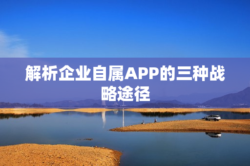 解析企业自属APP的三种战略途径