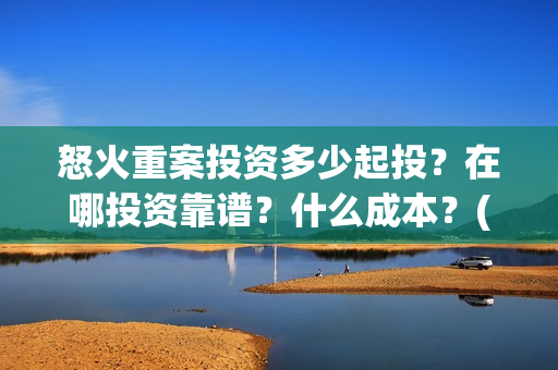 怒火重案投资多少起投？在哪投资靠谱？什么成本？(怒火重案投资金额)