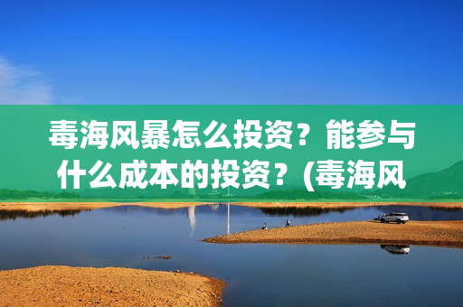 毒海风暴怎么投资？能参与什么成本的投资？(毒海风暴有哪几家拍摄)