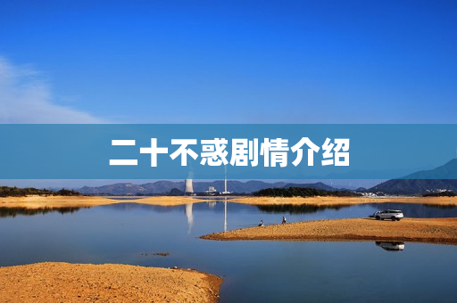 二十不惑剧情介绍